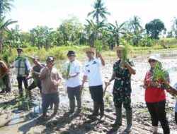 Tanam Padi Perdana, Wali Kota Banjarmasin Tegaskan Komitmen Jaga Pertanian
