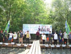 Hari Jadi ke-23 Tanah Bumbu, Bupati Gandeng Kaka Slank Tanam Mangrove