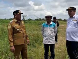 Gali Potensi Ekonomi, Bupati Bahrul Ilmi Tinjau Sumber Pasir di Batola