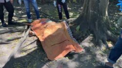 Kakek Ditemukan Tewas Bersimbah Darah di Kelayan Barat, Ternyata Akibat Penyakit