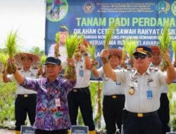 Warga Binaan Dilibatkan, Penanaman Padi Perdana Digelar di Pagatan Besar