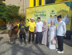 ‎Golkar Kalsel Salurkan 11 Ekor Sapi Kurban