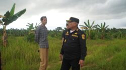 Infrastruktur Dikebut, Bupati Kotabaru Pantau Jalan Lingkar Pulau laut