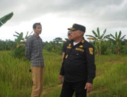 Infrastruktur Dikebut, Bupati Kotabaru Pantau Jalan Lingkar Pulau laut
