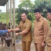 Pemkab Pulang Pisau Salurkan 50 Ekor Sapi Kurban Jelang Iduladha 1447 H