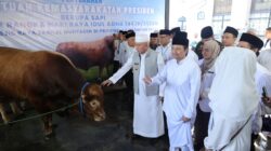 Sapi Kurban Presiden Berbobot 1,3 Ton Diserahkan di Masjid Sabilal Muhtadin