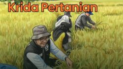 ‎Firman Yusi Apresiasi Perjuangan Pahlawan Pangan Kalsel