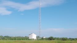 Warga Sambut Positif Pembangunan Tower Jaringan Internet di Balukung Baru