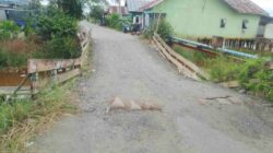 Petani Jejangkit Waswas, Jembatan Rusak Ganggu Akses ke Pasar
