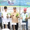 Bupati Batola Hadiri Gerakan Tanam Serempak 52.000 Hektare di Jejangkit