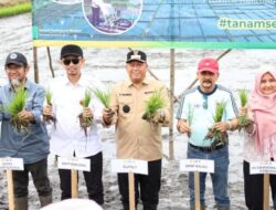 Bupati Batola Hadiri Gerakan Tanam Serempak 52.000 Hektare di Jejangkit