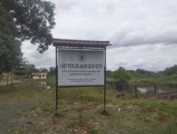 Menyiasati Keterbatasan Anggaran, Pemkab Batola dan BUMDes Bersinergi Bangkitkan UPI Bantuil