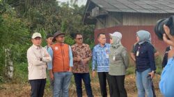 Tanah Bumbu Jadi Percontohan Integrasi Sawit-Sapi untuk Ketahanan Pangan