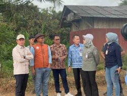 Tanah Bumbu Jadi Percontohan Integrasi Sawit-Sapi untuk Ketahanan Pangan