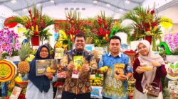 Batola Promosikan Jeruk Siam Banjar dan Nanas Tamban di Pameran Hortikultura Nasional