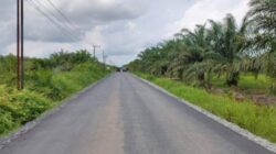 Batola Targetkan PAD Rp75 Juta dari Pengelolaan Sawit Bantaran