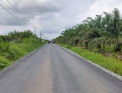 Batola Targetkan PAD Rp75 Juta dari Pengelolaan Sawit Bantaran