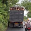 Truk Sawit Diduga Langgar Jam Operasional dan Tonase, Komisi III DPRD Batola Minta Dishub Perketat Pengawasan