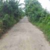 Jalan Jambu–Kabuau Rusak, Komisi III DPRD Batola Dorong Perbaikan Menyeluruh