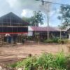 Produksi Ayam Broiler Batola Capai 2 Juta Ekor per Tahun, Disbunak Bidik Penguatan Pasar Lokal
