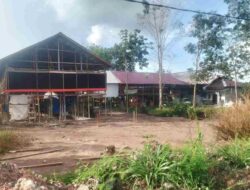 Produksi Ayam Broiler Batola Capai 2 Juta Ekor per Tahun, Disbunak Bidik Penguatan Pasar Lokal