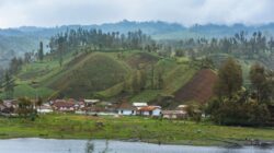 Krisis Biokultural Ancam Indonesia, Pengetahuan Lokal Berisiko Hilang