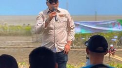 Gubernur Kalsel Perkuat Pesisir Melalui Rehabilitasi Mangrove
