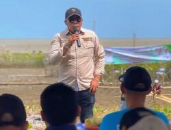 Gubernur Kalsel Perkuat Pesisir Melalui Rehabilitasi Mangrove