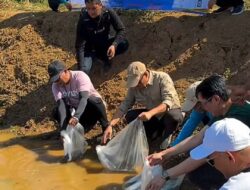 Gubernur Kalsel Bantu Pokdakan Tabulihin Guna Perkembangan Kampung Papuyu