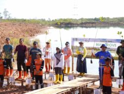 Hari Mangrove Sedunia 2026, Tanah Bumbu Tanam Mangrove untuk Generasi Mendatang