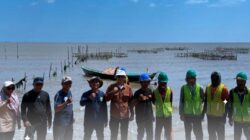 Kawal Rehabilitasi Mangrove di Tanah Laut, Dislautkan Kalsel Pastikan Program APBD 2026 Berjalan Optimal