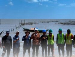 Kawal Rehabilitasi Mangrove di Tanah Laut, Dislautkan Kalsel Pastikan Program APBD 2026 Berjalan Optimal