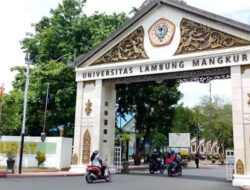 Pemilihan Rektor ULM 2026–2030 Masuk Tahap Verifikasi, Empat Kandidat Lolos