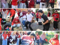 Semarak Lomba Dispersip Kalsel, Meriahkan Perayaan HUT RI ke-81