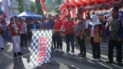 Semarak HUT ke-81 RI, Ribuan Peserta Meriahkan Karnaval di Kotabaru
