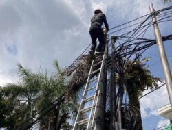 Pemko Banjarmasin Siapkan Perwali Penataan Kabel Fiber Optik