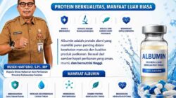 Albumin Haruan, Protein Berkualitas untuk Hidup Sehat