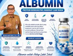 Albumin Haruan, Protein Berkualitas untuk Hidup Sehat