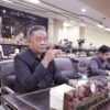 Bang Atak Minta BPBD Kalsel Percepat Penanganan Karhutla HST