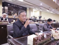 Bang Atak Minta BPBD Kalsel Percepat Penanganan Karhutla HST
