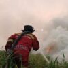 Pemerintah Perkuat Groundcheck Hotspot Karhutla di Wilayah Kalimantan