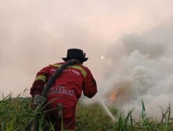 Pemerintah Perkuat Groundcheck Hotspot Karhutla di Wilayah Kalimantan