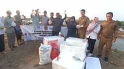 Gubernur Muhidin Salurkan Sapras Budidaya Udang Windu untuk Tiga Pokdakan di Tanah Bumbu