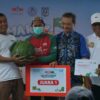 Panen Raya Semangka AMARA F1, Komoditas Baru Penopang Ekonomi Petani Daha