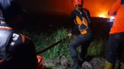 Lahan Terbakar di Handil Bakti, BPBD Banjarmasin Turun Tangan