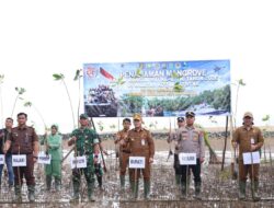 Bupati Tanah Bumbu Dorong Pelestarian Pesisir Lewat Penanaman 1.000 Mangrove