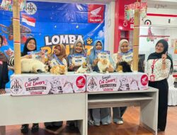 Trio Motor Sampit Hadirkan Kompetisi Unik untuk Pecinta Kucing, Total Hadiah Capai Rp3 Juta