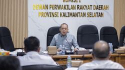 Ilham Nor: Kalsel Harus Perkuat Ketahanan Hadapi Perubahan Iklim