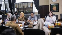 Komisi IV Kalsel Prioritaskan Anggaran Kesehatan 2027