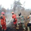 Hotspot Karhutla Turun Jadi 317 Titik, Sumatera Selatan Catat 102 Titik